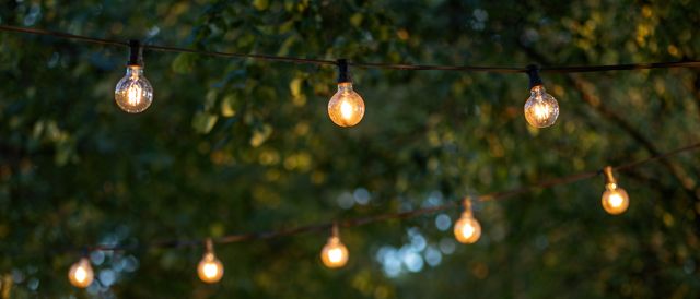 Lichterketten mit runden gelb-leuchtenden Glühbirnen sind zwischen Bäumen aufgespannt, es ist frühe Abendstimmung
