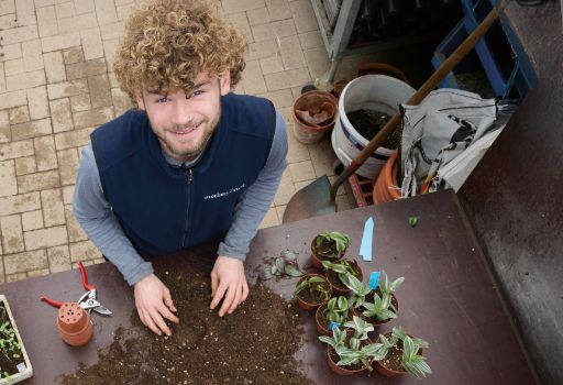 Ein junger Gärtner mit lockigem Haar und Nasenpiercing lächelt in die Kamera, während er auf einem Tisch Erde für das Umtopfen vorbereitet. Neben ihm stehen kleine Topfpflanzen, ein Stapel Tontöpfe und eine Gartenschere, im Hintergrund sind Gartenutensilien sichtbar.