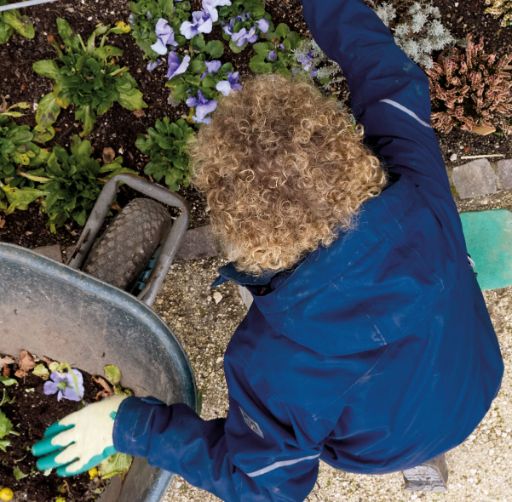 Eine Person mit lockigem Haar und blauer Arbeitsjacke arbeitet in einem Blumenbeet und pflanzt oder jätet zwischen violetten und grünen Pflanzen. Er wurde aus der Vogelperspektive fotografiert. Neben ihr steht eine Schubkarre mit Gartenabfällen, auf dem Boden liegt eine grüne Knieschutzmatte.
