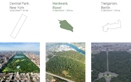 Vergleichsgrafik von drei Stadtparks: Central Park in New York, Hardwald-Park in Basel und Tiergarten in Berlin mit Flächenangaben. Oben sind vereinfachte Umrisse, unten Luftaufnahmen der jeweiligen Parks.