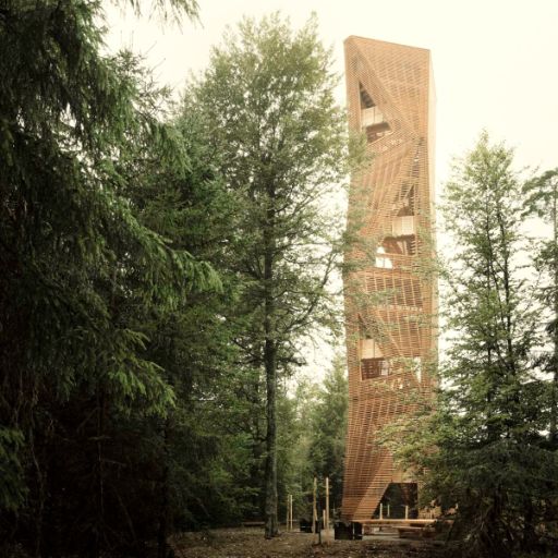 Hoher Aussichtsturm aus Holz ragt zwischen Bäumen in einem dichten Wald empor. Die offene Konstruktion zeigt Treppen und Plattformen im Inneren.