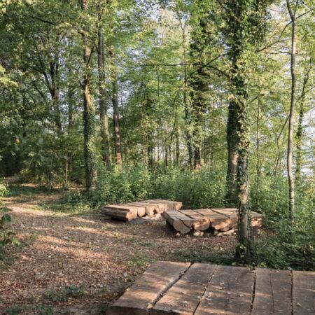 Ruhiger Waldplatz mit Sitzgelegenheiten aus grossen Holzstämmen. Umgeben von Bäumen und Laub wirkt der Ort wie eine einfache Raststelle im Grünen.