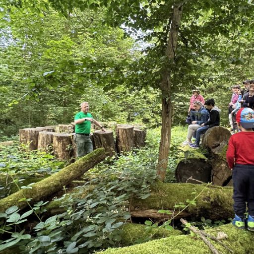 Eine Gruppe von Kindern und Erwachsenen sitzt und steht im Wald auf Baumstämmen, während ein Mann etwas erklärt. Die Szene wirkt wie eine Führung oder ein Unterricht im Freien.