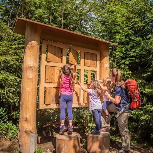 Mehrere Kinder stehen auf Holzstämmen und erkunden eine interaktive Infotafel im Freien. Eine erwachsene Frau mit rotem Wanderrucksack begleitet sie am Rand.