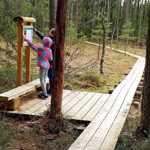 Ein Kind und ein Mann stehen auf einem Holzsteg im Wald und betrachten eine Informationstafel. Der Weg führt als schmaler Steg durch die feuchte Waldlandschaft mit Bäumen und Moos.