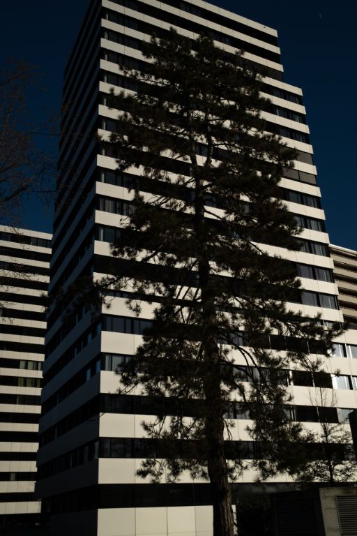 Fotografie von Ketty Bertossi, zu sehen ist das Roche Hochhaus in Basel, darauf zeichnet sich ein dunkler Baum in Umrissen ab.