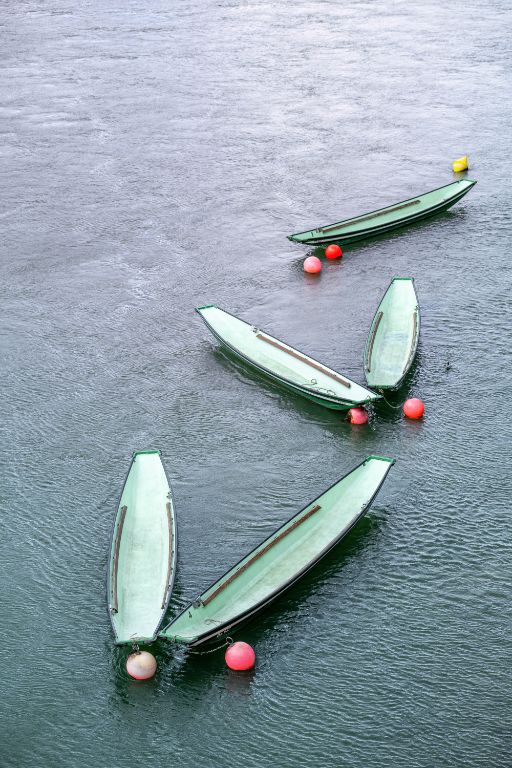 Fünf grünliche Fischerboote, sogenannte Weidlinge, liegen auf dem Rhein und sind mit roten, weissen und gelben Bojen festgemacht. Die Boote treiben mit der Strömung in unterschiedlicher Ausrichtung auf der leicht bewegten Wasseroberfläche.