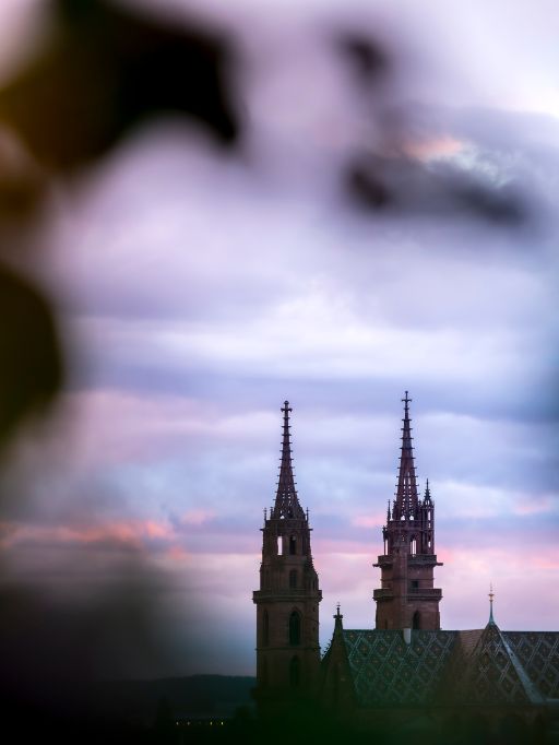 Das Basler Münster mit seinen beiden Türmen vor einem violett und rosa gefärbten Abendhimmel. Unscharfe Blätter und Blüten im Vordergrund rahmen den Blick auf das Münster.