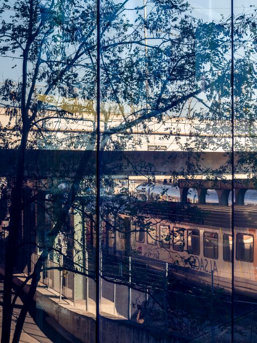 Blick durch eine spiegelnde Glasfassade auf einen Zug und die Gleisanlagen des Französischen Bahnhofs in Basel. In der Scheibe überlagern sich die Spiegelungen von Bäumen und Ästen mit der Architektur und dem Zug.